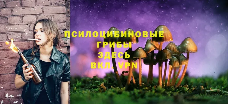 Галлюциногенные грибы Magic Shrooms  Новоуральск 